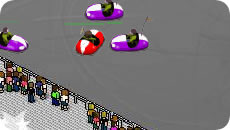 Bumpercars Championship