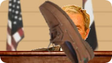 Bush shoe sock and awe