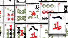 Fla jong