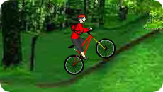 Mountain bike
