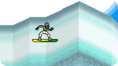 Snowboard pgx