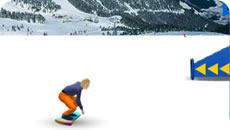 Snowboard slalom